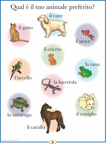 Italian Pets Poster