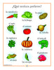 Spanish Set of 21 Mini Posters