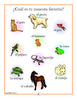 Spanish Set of 21 Mini Posters