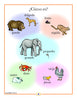 Spanish Set of 21 Mini Posters