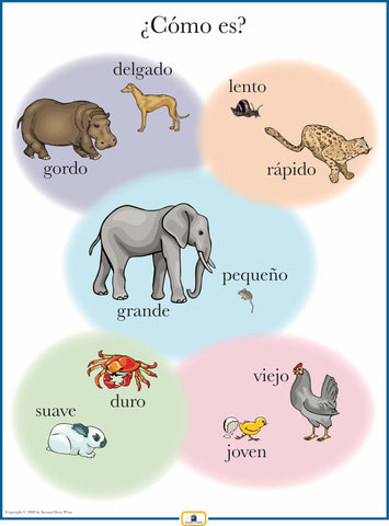 Spanish Opposites Poster